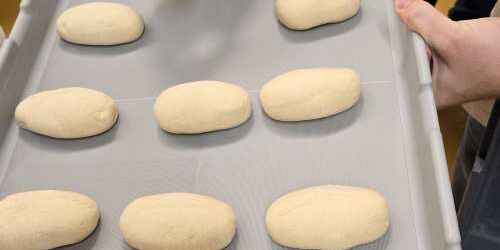 Rückblick auf das Ridder Sommerfest - Betriebsbesichtigung Schäfer