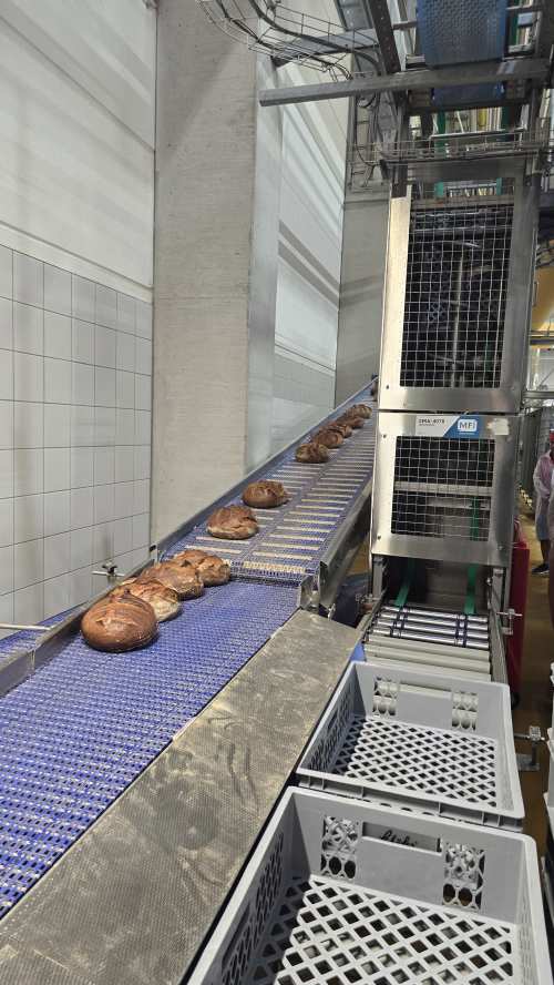 Das fertig gebackene Brot rollt über ein Förderband aus dem Ofen